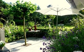 Bed&Breakfast Valckenbosch